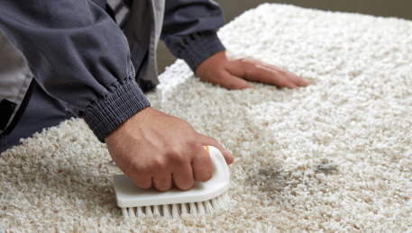 Professional Rug Cleaning Mickleham